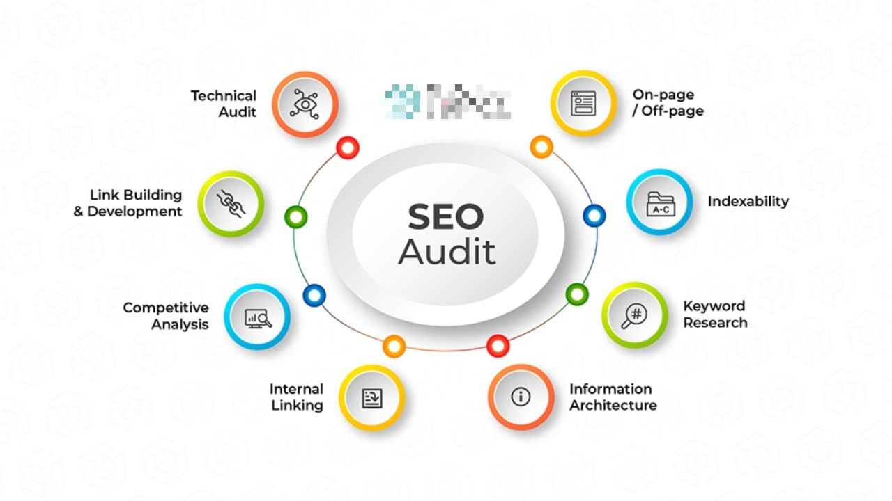 Domain SEO Auditor icon